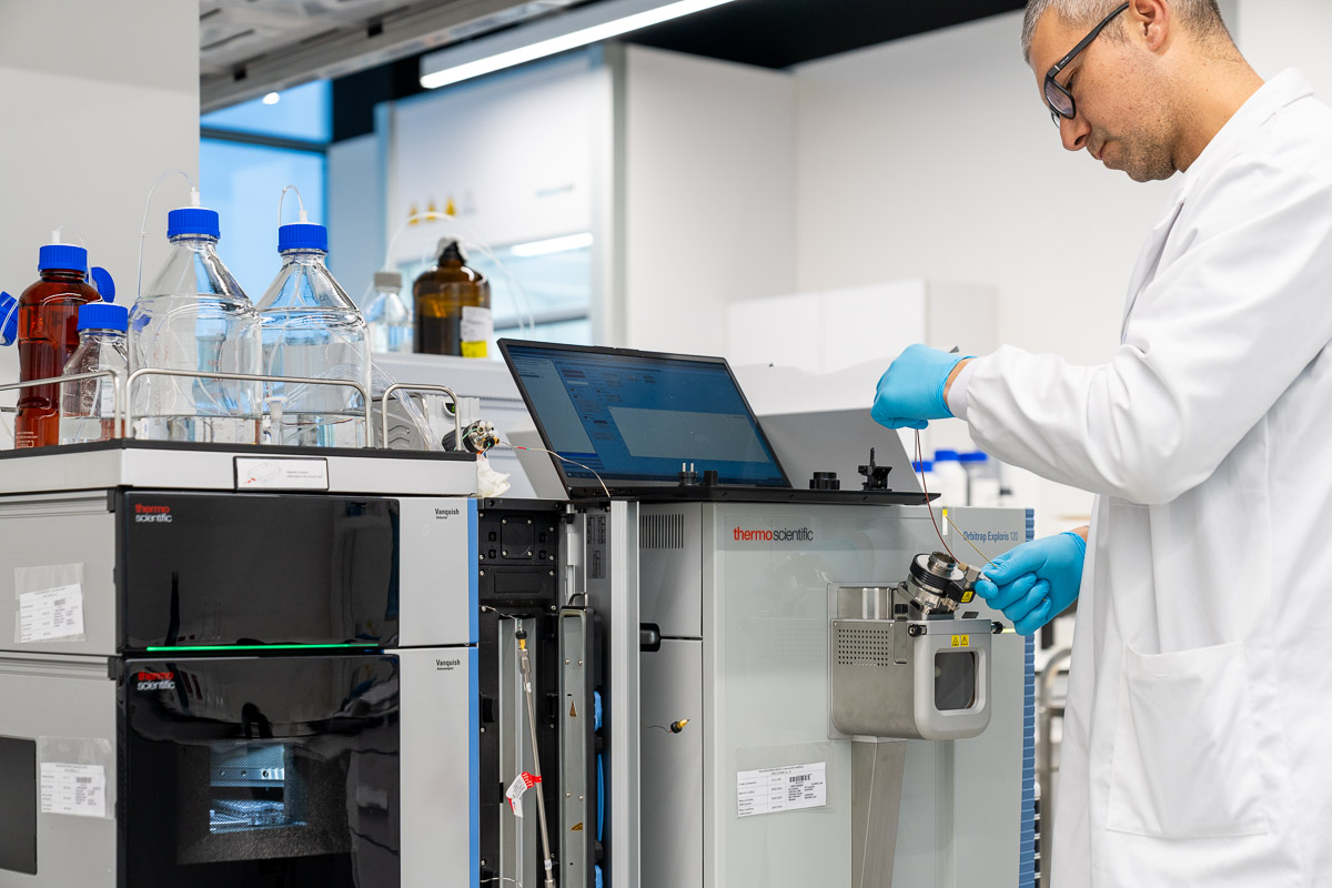 Identity & Structure for oligos